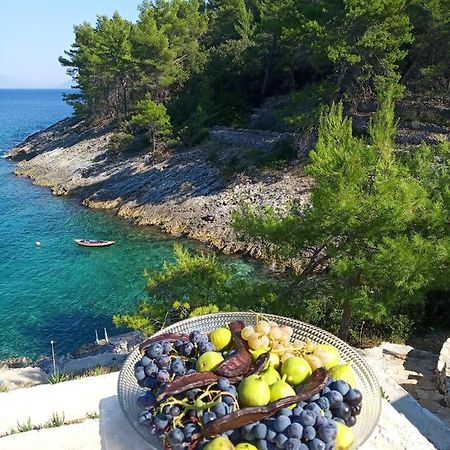 Modern Robinson Veli Bare Villa Vela Luka Dış mekan fotoğraf