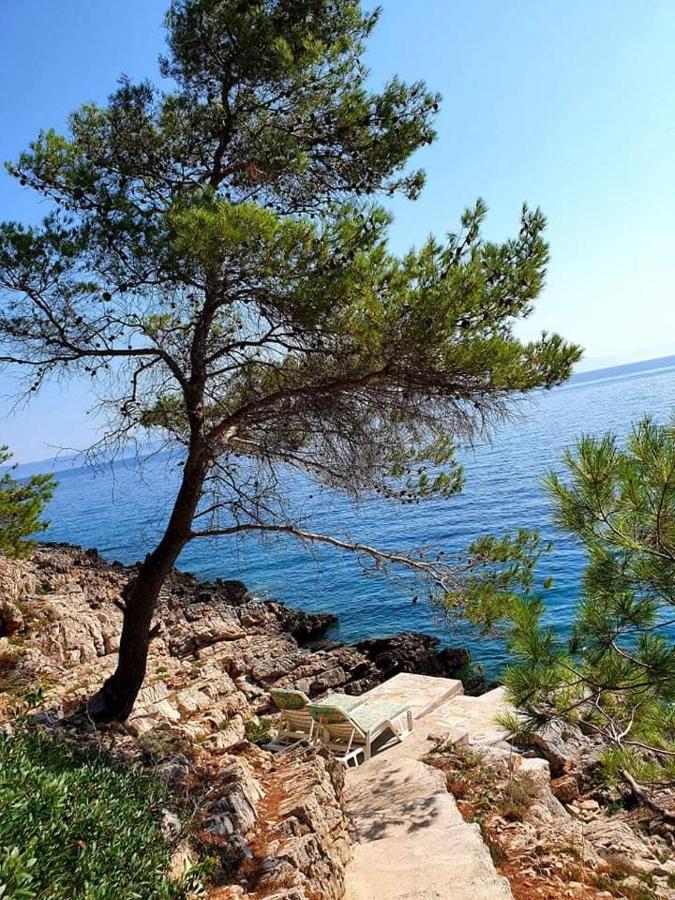 Modern Robinson Veli Bare Villa Vela Luka Dış mekan fotoğraf