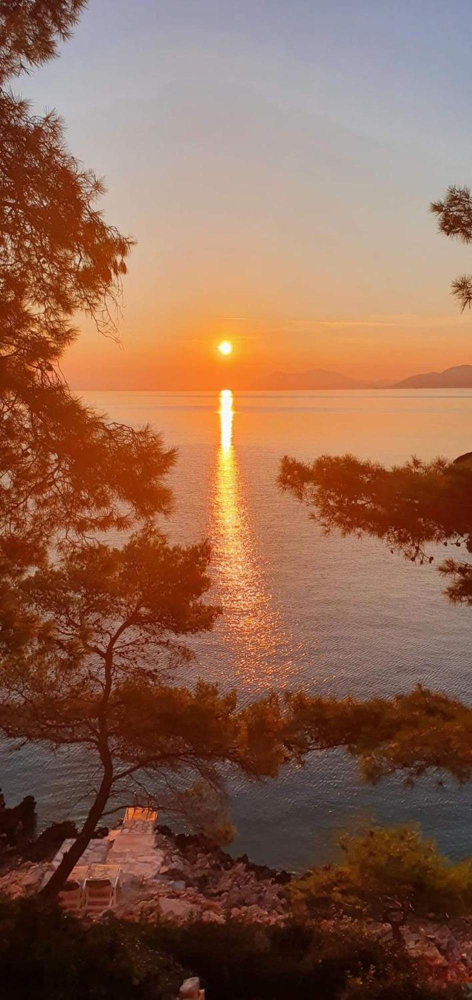 Modern Robinson Veli Bare Villa Vela Luka Dış mekan fotoğraf
