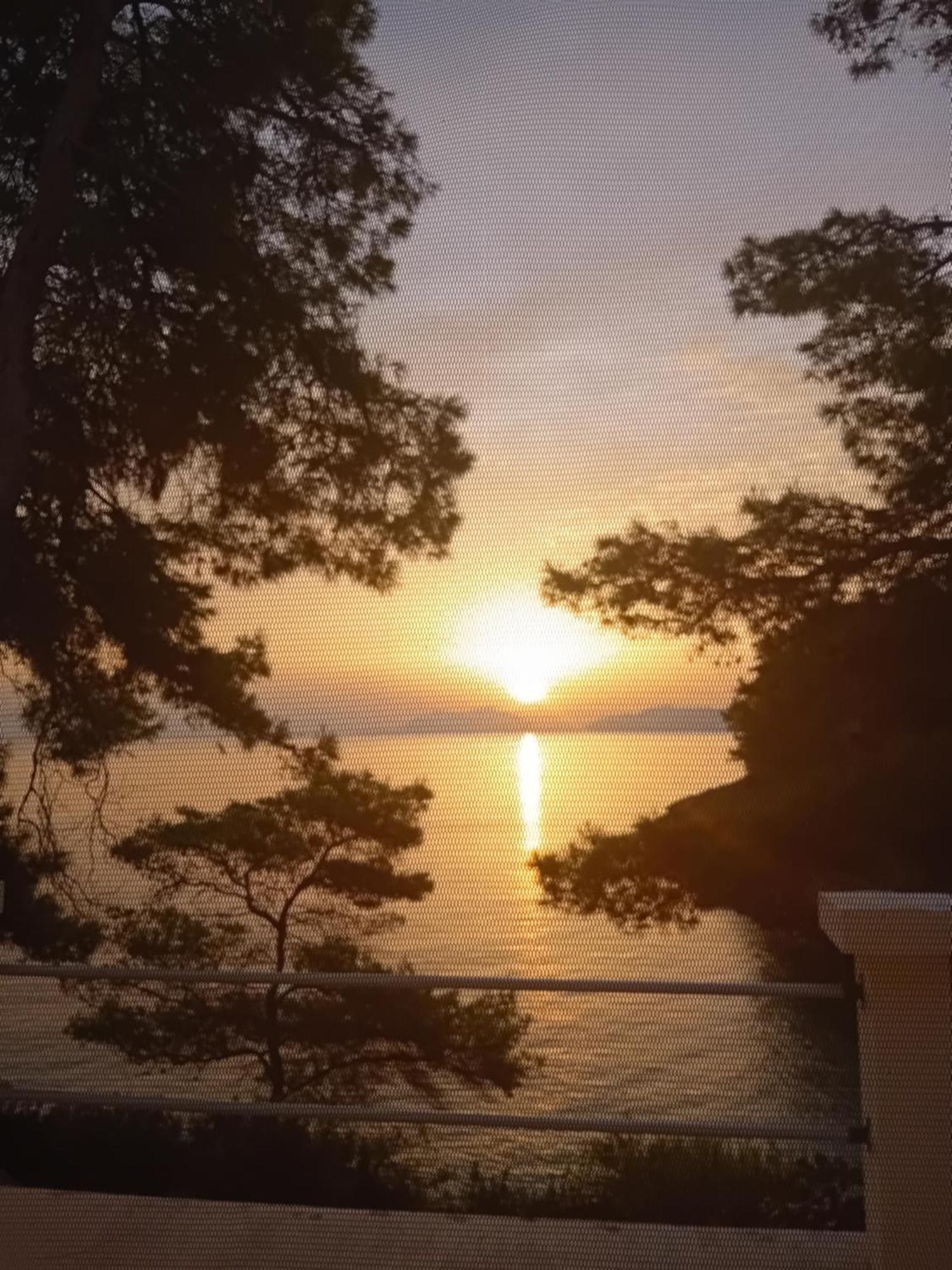 Modern Robinson Veli Bare Villa Vela Luka Dış mekan fotoğraf