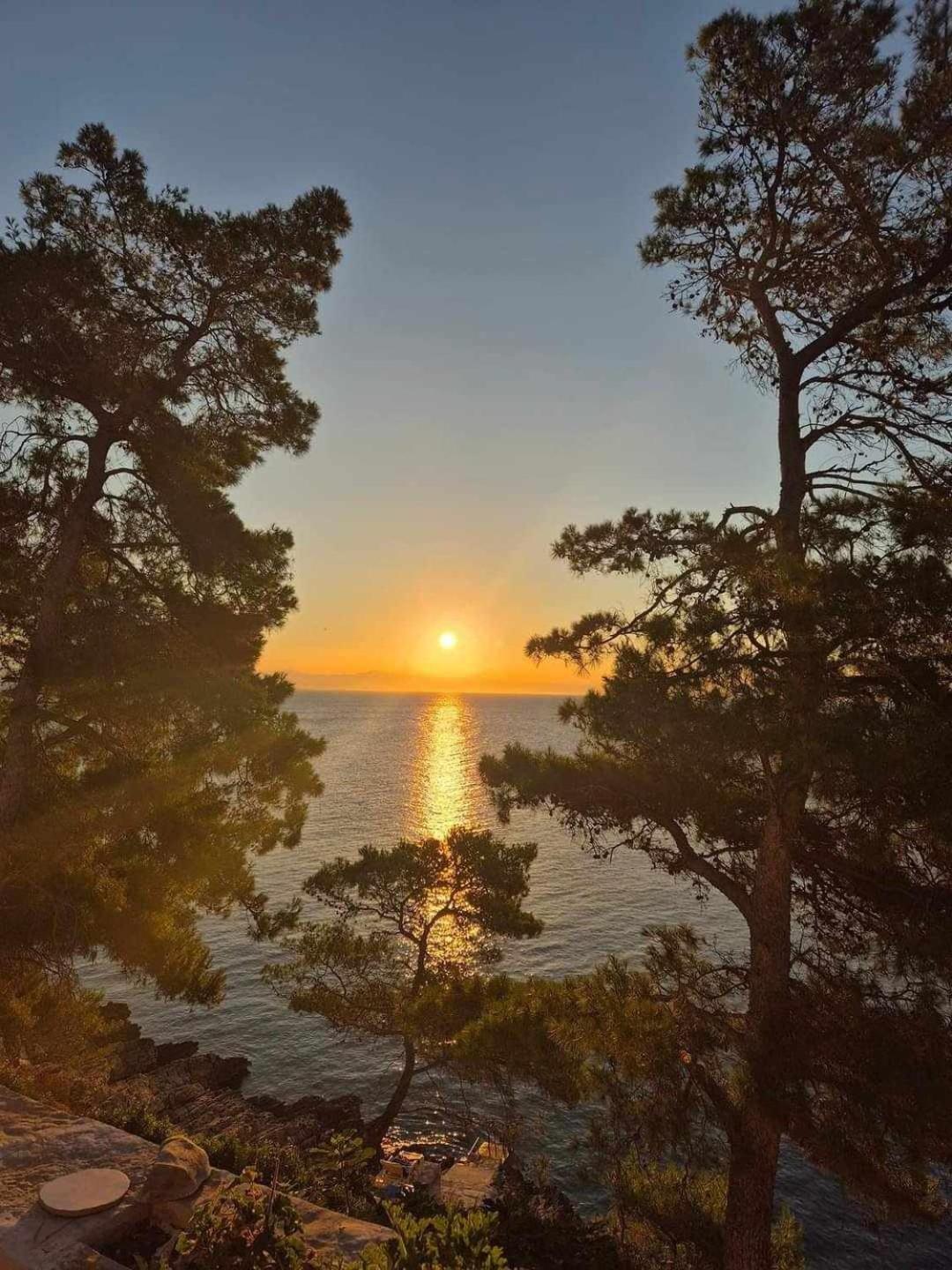 Modern Robinson Veli Bare Villa Vela Luka Dış mekan fotoğraf
